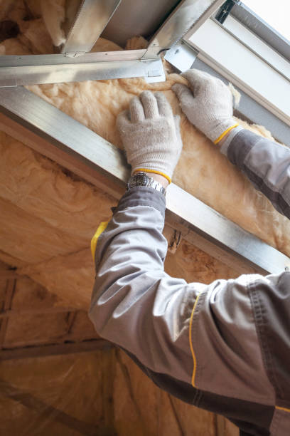 Best Geographic-Specific Insulation Services in Portola Valley, CA
